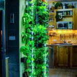 hydroponic towers