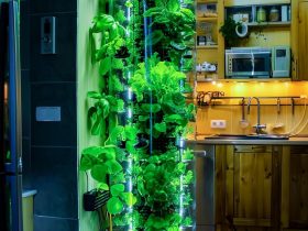 hydroponic towers