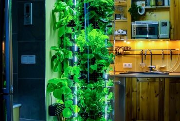 hydroponic towers