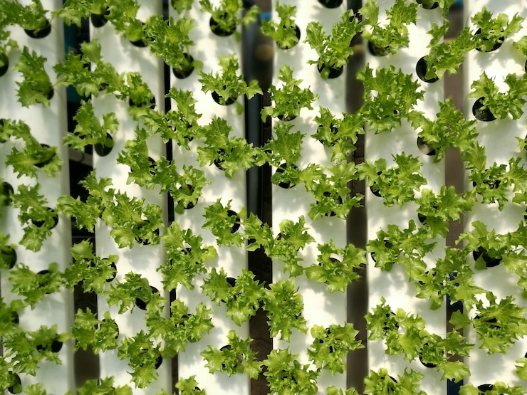hydroponic tower garden