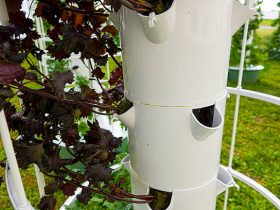 Hydroponic towers