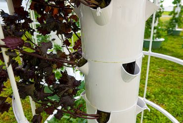Hydroponic towers