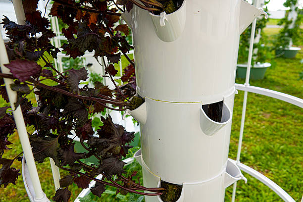 Hydroponic towers