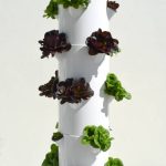 aeroponic tower
