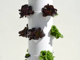 aeroponic tower