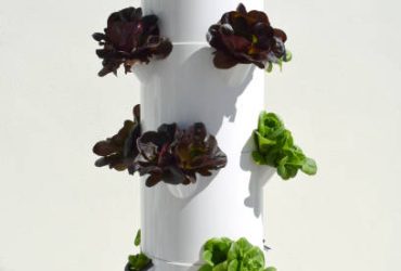 aeroponic tower