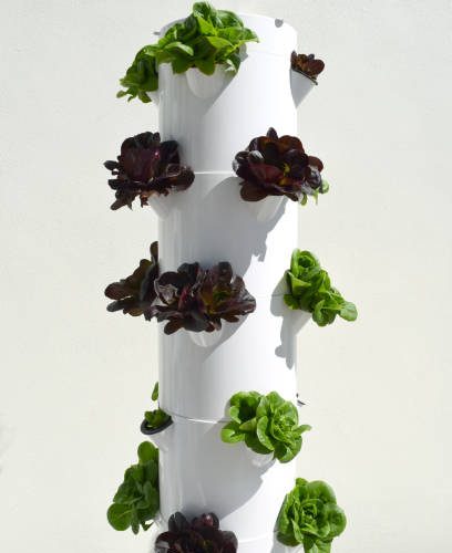 aeroponic tower