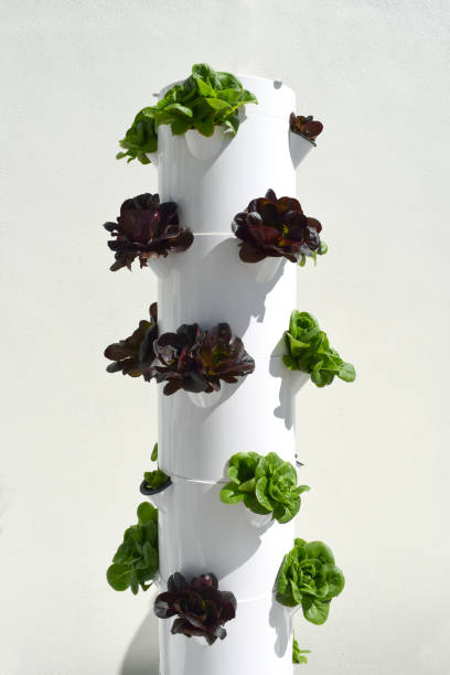 aeroponic tower