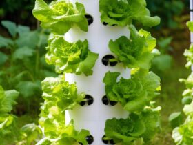 hydroponic tower garden