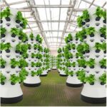 Hydroponic towers