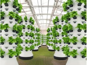 Hydroponic towers