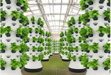 Hydroponic towers
