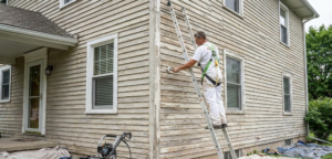 Exterior House Painting Services